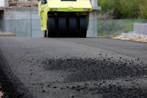 Best Decorative Driveway Pavers  in Tangelo Park, FL